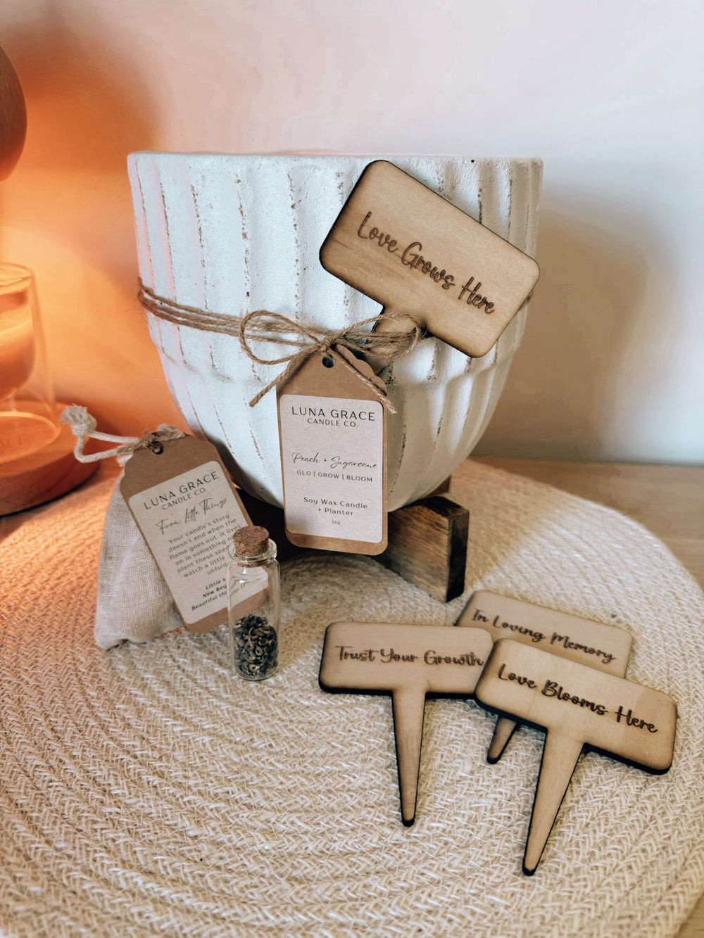 Glo • Grow • Bloom – Candle Planter Gift Set